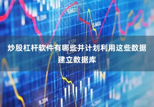 炒股杠杆软件有哪些并计划利用这些数据建立数据库