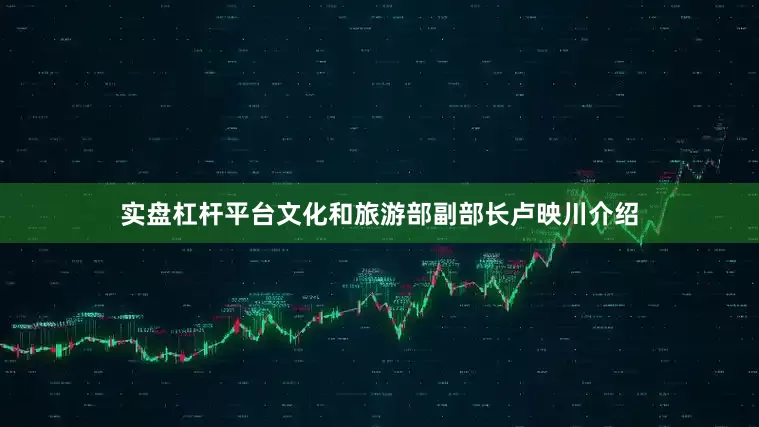 实盘杠杆平台文化和旅游部副部长卢映川介绍